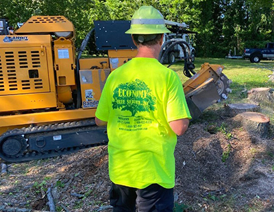 Annapolis Maryland Stump Grinding Removal