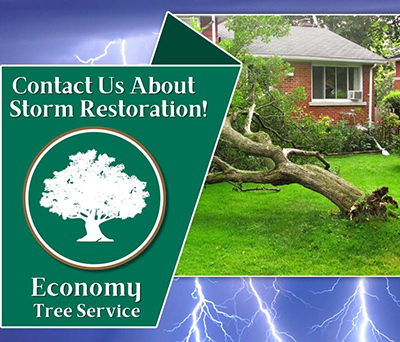 Queen Annes Maryland Storm Restoration Service